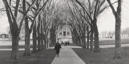 Photo of Colorado State University Oval
