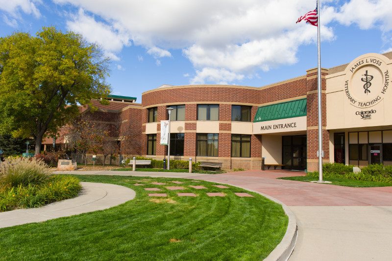 Veterinary Teaching Hospital Library – Colorado State University: Libraries