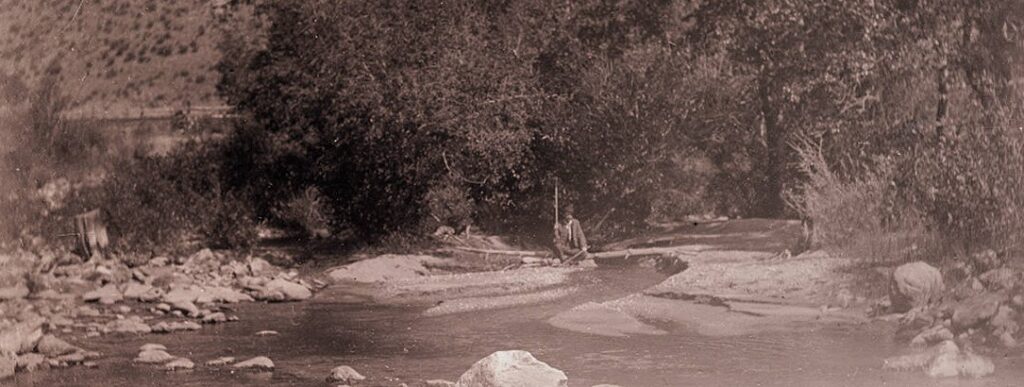 man sitting in stream, 1903, amidst water and trees